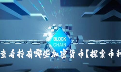 如何在TP钱包中查看持有哪些加密货币？探索币种管理的便捷方法