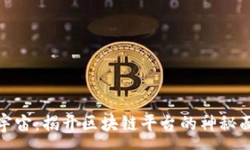 :
秦宇宙：揭开区块链平台的神秘面纱