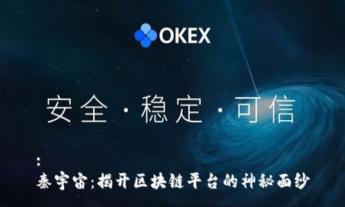 :
秦宇宙：揭开区块链平台的神秘面纱