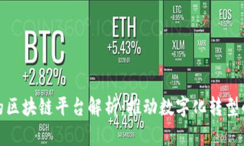 政务上的区块链平台解析：推动数字化转型的新时代