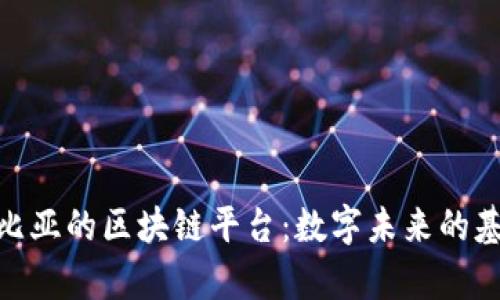 探索赞比亚的区块链平台：数字未来的基础设施