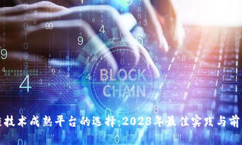 区块链技术成熟平台的选择：2023年最佳实践与前沿趋势
