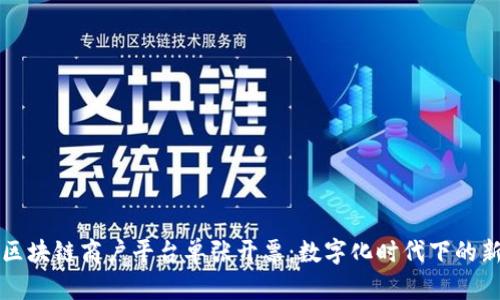 云南区块链商户平台单张开票：数字化时代下的新选择