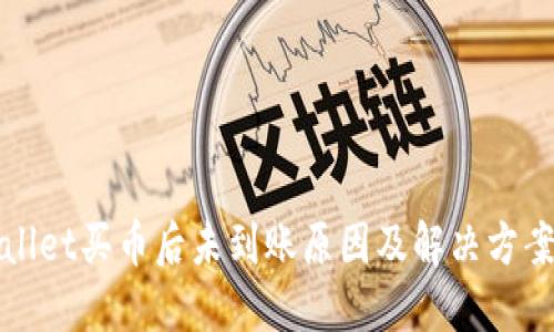 TPWallet买币后未到账原因及解决方案详解