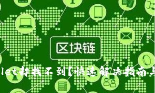 提币到TP Wallet却找不到？快速解决指南与常见问题解析