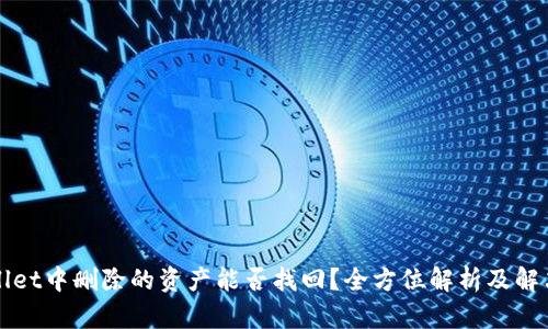 TPWallet中删除的资产能否找回？全方位解析及解决方案