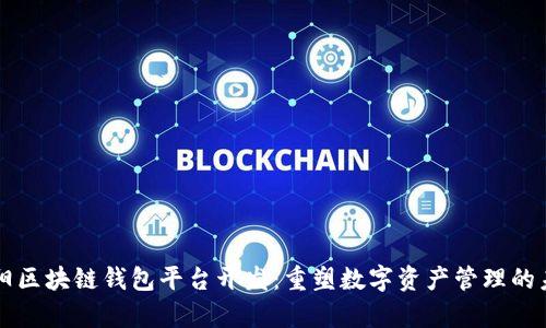 阜阳区块链钱包平台开发：重塑数字资产管理的未来