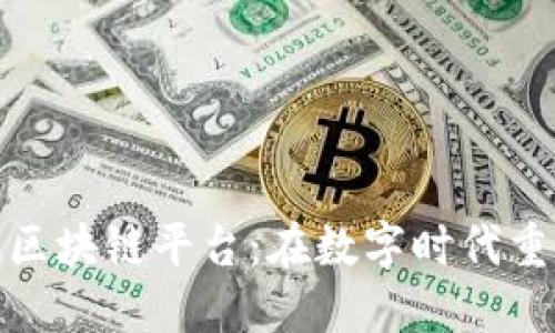 探索数知科技区块链平台：在数字时代重塑信任与透明