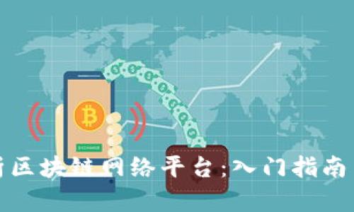 : 深度解析区块链网络平台：入门指南与未来展望