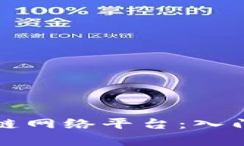 : 深度解析区块链网络平台：入门指南与未来展望