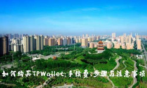 如何购买TPWallet：手续费、步骤与注意事项