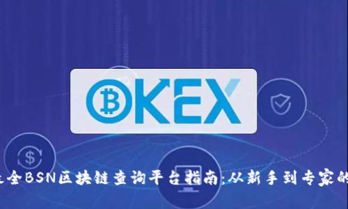 2023年最全BSN区块链查询平台指南：从新手到专家的全面解析