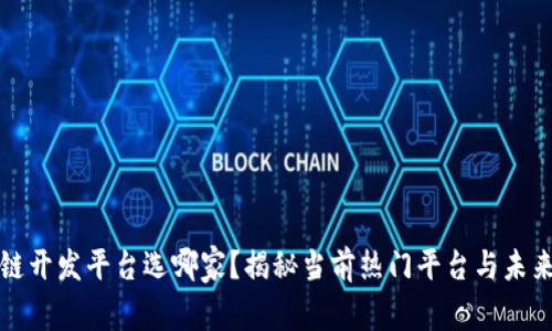 区块链开发平台选哪家？揭秘当前热门平台与未来趋势