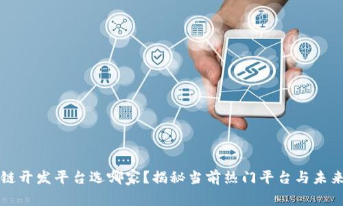 区块链开发平台选哪家？揭秘当前热门平台与未来趋势
