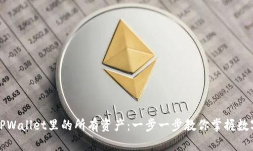 轻松查看TPWallet里的所有资产：一步一步教你掌握数字钱包管理