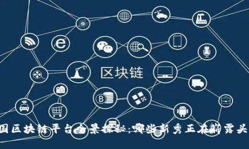 中国区块链平台全景探秘：哪些新秀正在崭露头角？