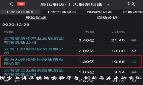  探索上海区块链实验平台：创新与未来的交汇点