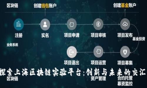  探索上海区块链实验平台：创新与未来的交汇点
