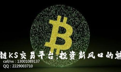 揭秘区块链KS交易平台：投资新风口的魅力与挑战