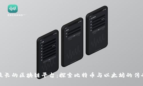 活得最长的区块链平台：探索比特币与以太坊的传奇之旅