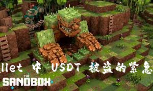 如何应对 TPWallet 中 USDT 被盗的紧急措施与预防策略