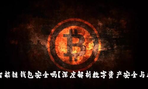 TP币安智能链钱包安全吗？深度解析数字资产安全与风险防范