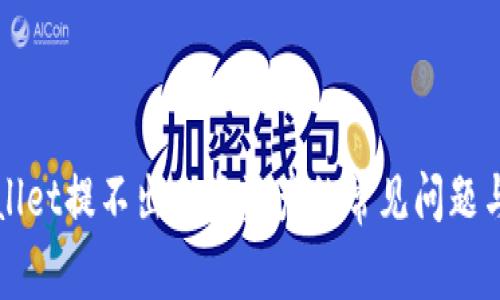 解决TPWallet提不出来资资产的常见问题与应对策略