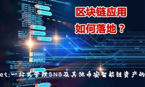 位tpwallet：一站式管理BNB及其他币安智能链资产的最佳选择