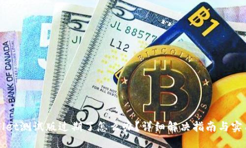 TPWallet测试版过期了怎么办？详细解决指南与实用技巧