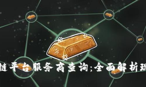 中芯区块链平台服务商查询：全面解析现状与趋势