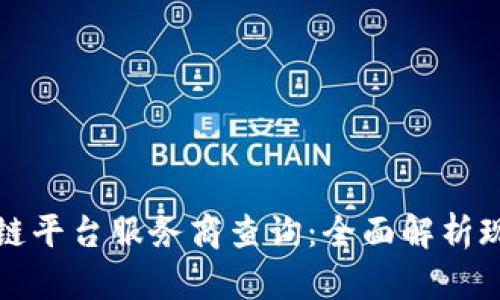 中芯区块链平台服务商查询：全面解析现状与趋势