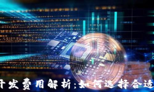 
区块链平台开发费用解析：如何选择合适的解决方案？