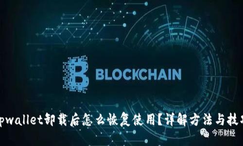 tpwallet卸载后怎么恢复使用？详解方法与技巧
