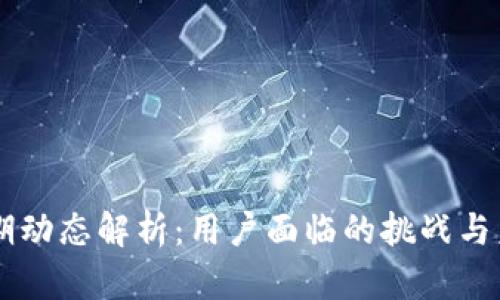 TPWallet近期动态解析：用户面临的挑战与未来发展展望