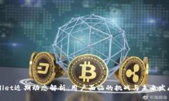 TPWallet近期动态解析：用户面临的挑战与未来发展