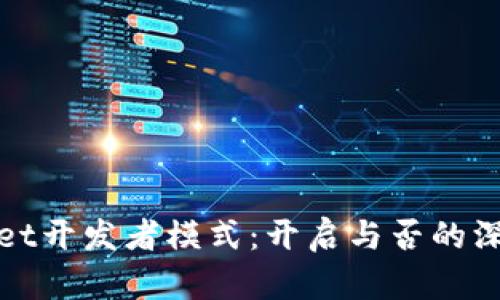 TPWallet开发者模式：开启与否的深度探讨
