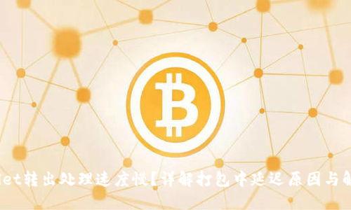 :TPWallet转出处理速度慢？详解打包中延迟原因与解决方案