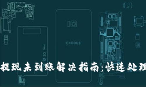 TPWallet提现未到账解决指南：快速处理你的困扰
