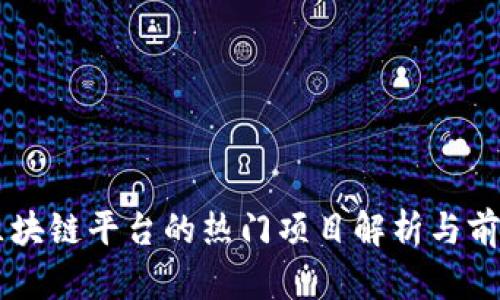 西宁区块链平台的热门项目解析与前景展望