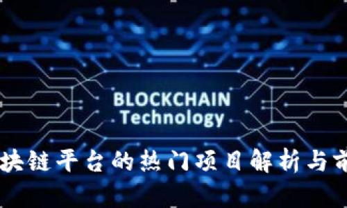 西宁区块链平台的热门项目解析与前景展望