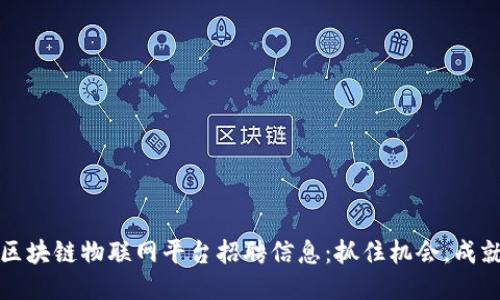 海南区块链物联网平台招聘信息：抓住机会，成就未来