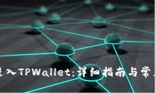 如何重新进入TPWallet：详细指南与常见问题解答