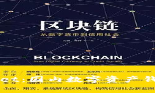 深度解析TPWallet：国内数字资产钱包的前景与挑战