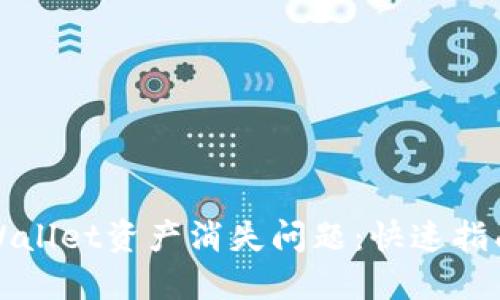 如何解决TPWallet资产消失问题：快速指南与应对策略