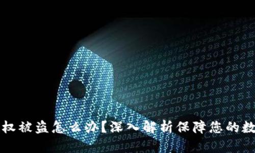 TPWallet授权被盗怎么办？深入解析保障您的数字资产安全
