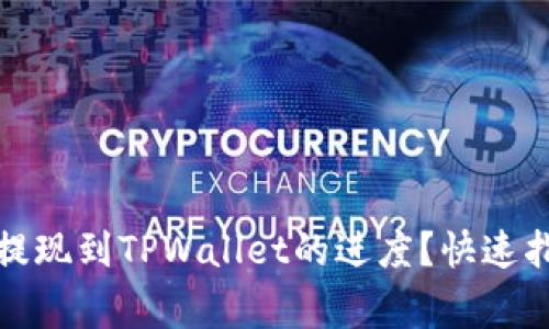 如何查看欧意提现到TPWallet的进度？快速指南与注意事项