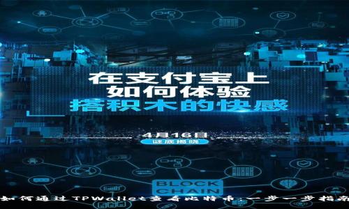 如何通过TPWallet查看比特币：一步一步指南