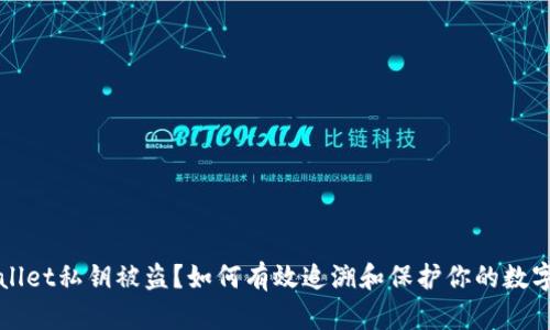 TPWallet私钥被盗？如何有效追溯和保护你的数字资产