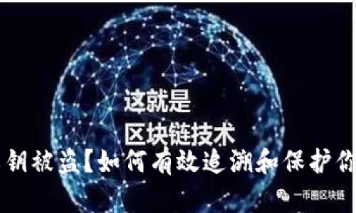 TPWallet私钥被盗？如何有效追溯和保护你的数字资产