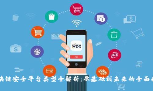 区块链安全平台类型全解析：从基础到未来的全面指南
